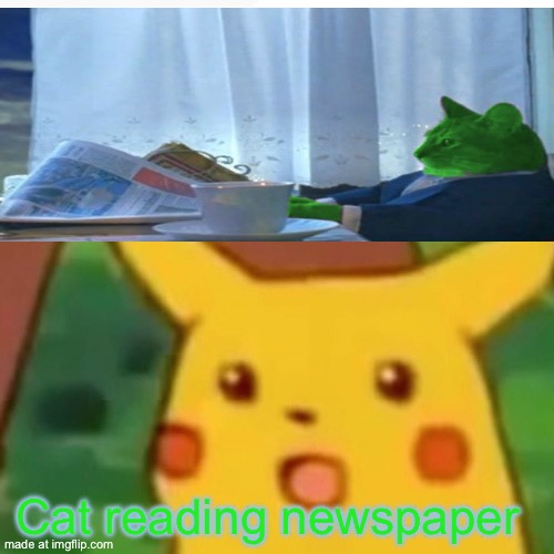Surprised Pikachu Meme | Cat reading newspaper | image tagged in memes,surprised pikachu | made w/ Imgflip meme maker