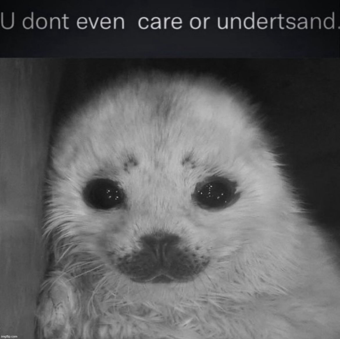 hi | made w/ Imgflip meme maker