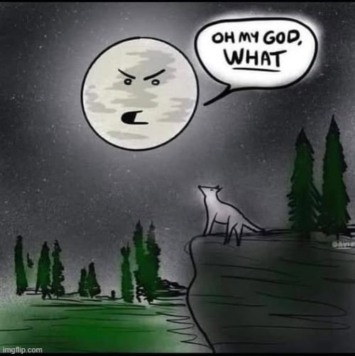 Awoo! | image tagged in wolves,moon,howl,funny | made w/ Imgflip meme maker