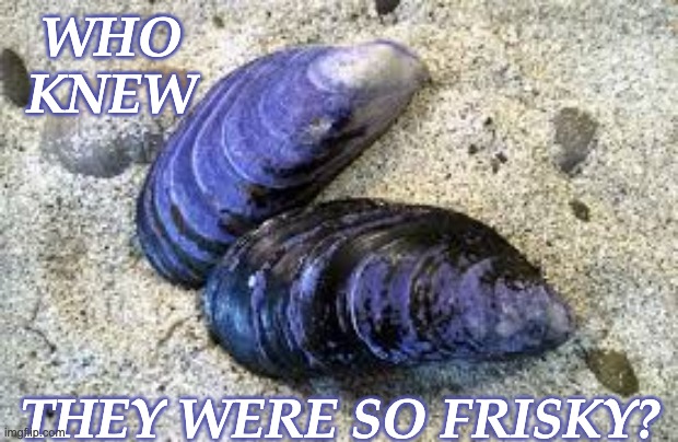 who knew they were so frisky? | made w/ Imgflip meme maker