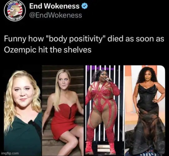 The left changed the definition of beauty to suit their own fantasies & identities. | image tagged in crazy,liberals,fantasy,reality,reality can be whatever i want,ozempic | made w/ Imgflip meme maker
