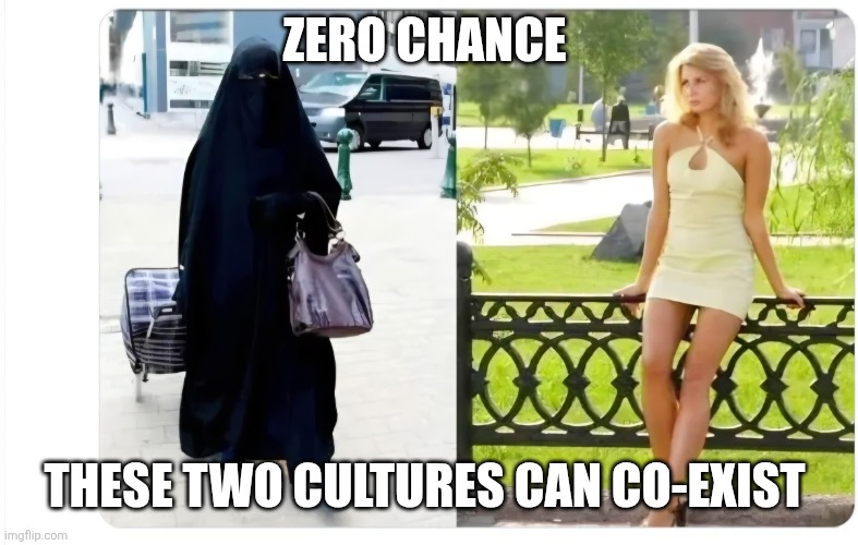 Zero chance; These two cultures can co-exist | image tagged in ac9c80bb-a108-4b43-8646-a8773ca6b96d_675x488 jpg | made w/ Imgflip meme maker