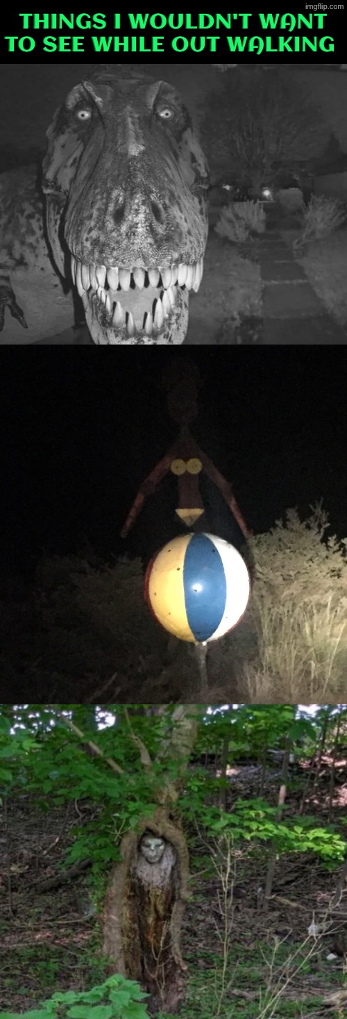 Things I Wouldn't Want To See | Things I wouldn't want to see while out walking | image tagged in cursed images,what a terrible day to have eyes,unsee juice,drink bleach,oh hell no,creepy | made w/ Imgflip meme maker