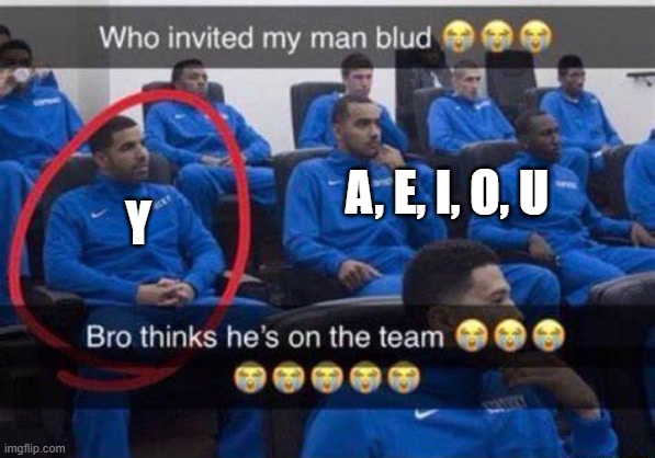 Vowels in a nutshell | a, e, i, o, u; y | image tagged in bro thinks he's on the team | made w/ Imgflip meme maker