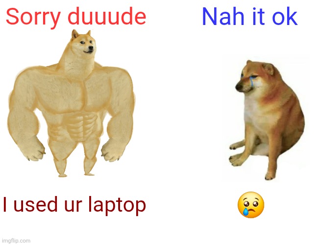 Buff Doge vs. Cheems | Sorry duuude; Nah it ok; I used ur laptop; 😢 | image tagged in memes,buff doge vs cheems | made w/ Imgflip meme maker