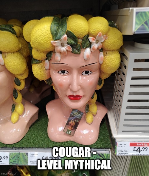 Cougar - level mythical | Cougar - level mythical | image tagged in cougar | made w/ Imgflip meme maker