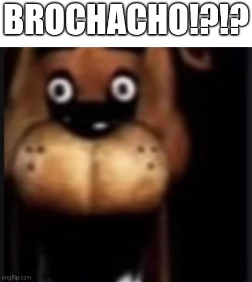 Copy this | BROCHACHO!?!? | image tagged in fred fazbar | made w/ Imgflip meme maker