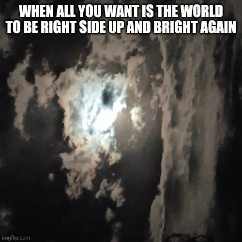 20260501_030312.jpg | When all you want is the world to be right side up and bright again | image tagged in 20260501_030312 jpg | made w/ Imgflip meme maker