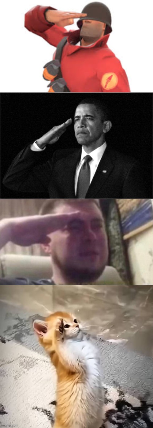 image tagged in tf2 soldier salute,obama-salute,crying salute,salute cat | made w/ Imgflip meme maker