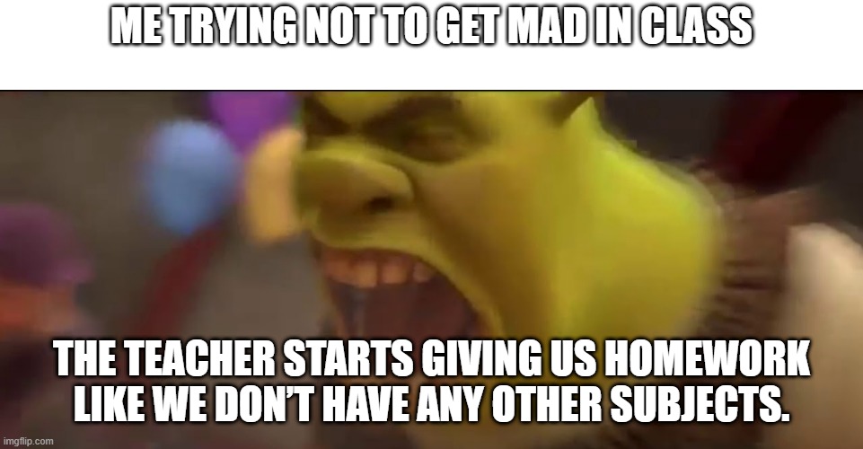 Shrek Screaming | Me trying not to get mad in class; The teacher starts giving us homework like we don’t have any other subjects. | image tagged in shrek screaming | made w/ Imgflip meme maker