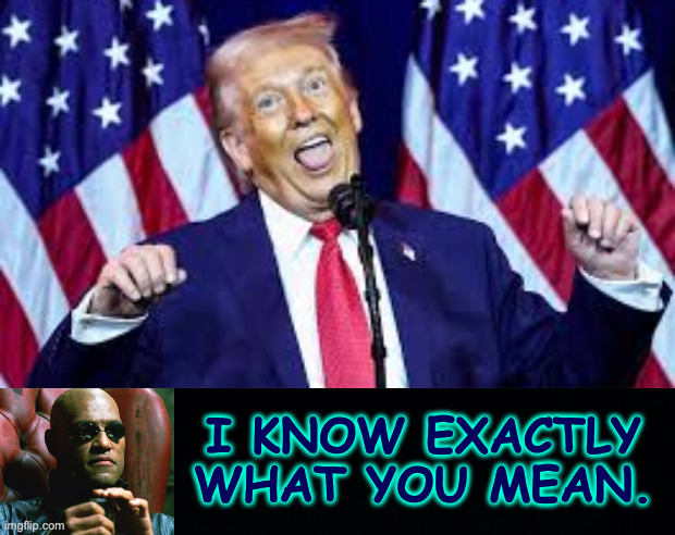 i know exactly what you mean. | image tagged in black background | made w/ Imgflip meme maker