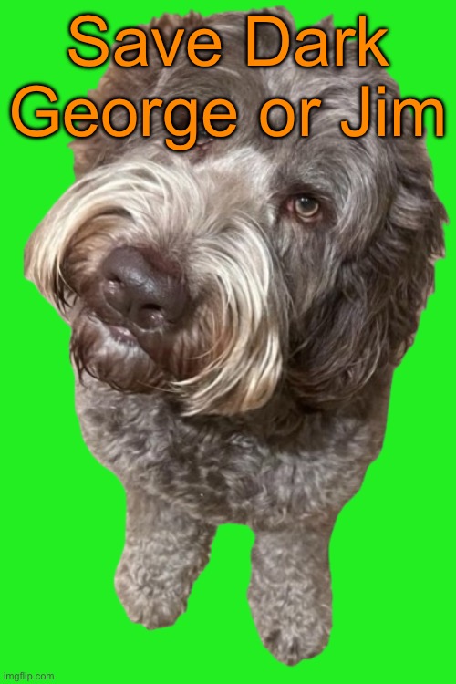 Northers Dog (Transparent) | Save Dark George or Jim | image tagged in northers dog transparent,voting game s19-5 | made w/ Imgflip meme maker