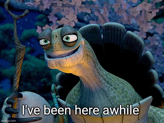 Kung fu panda turtle | I've been here awhile | image tagged in kung fu panda turtle | made w/ Imgflip meme maker