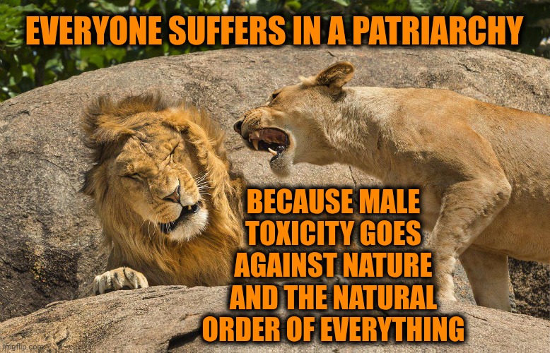 The Patriarchy Is Toxic | Everyone suffers in a patriarchy; Because male toxicity goes against nature and the natural order of everything | image tagged in memes,patriarchy,toxic masculinity,is this much violence really necessary,male privilege,wake up | made w/ Imgflip meme maker