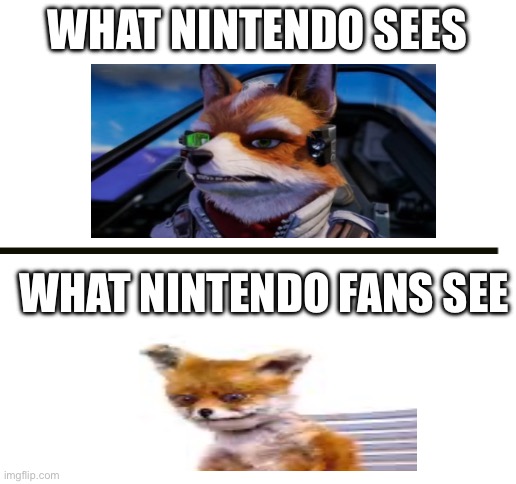 ? | What Nintendo sees; What Nintendo fans see | image tagged in blank white template | made w/ Imgflip meme maker
