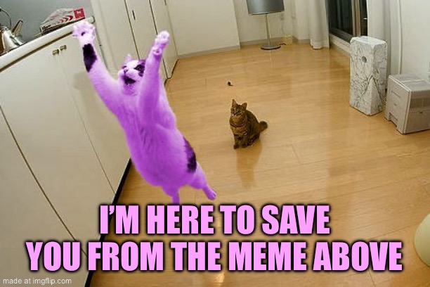 RayCat save the world | I’m here to save you from the meme above | image tagged in raycat save the world | made w/ Imgflip meme maker