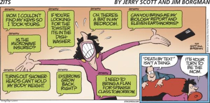 Zits | image tagged in comics | made w/ Imgflip meme maker