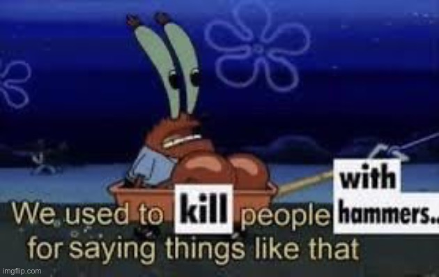 image tagged in we used to kill people with hammers for saying things like that | made w/ Imgflip meme maker