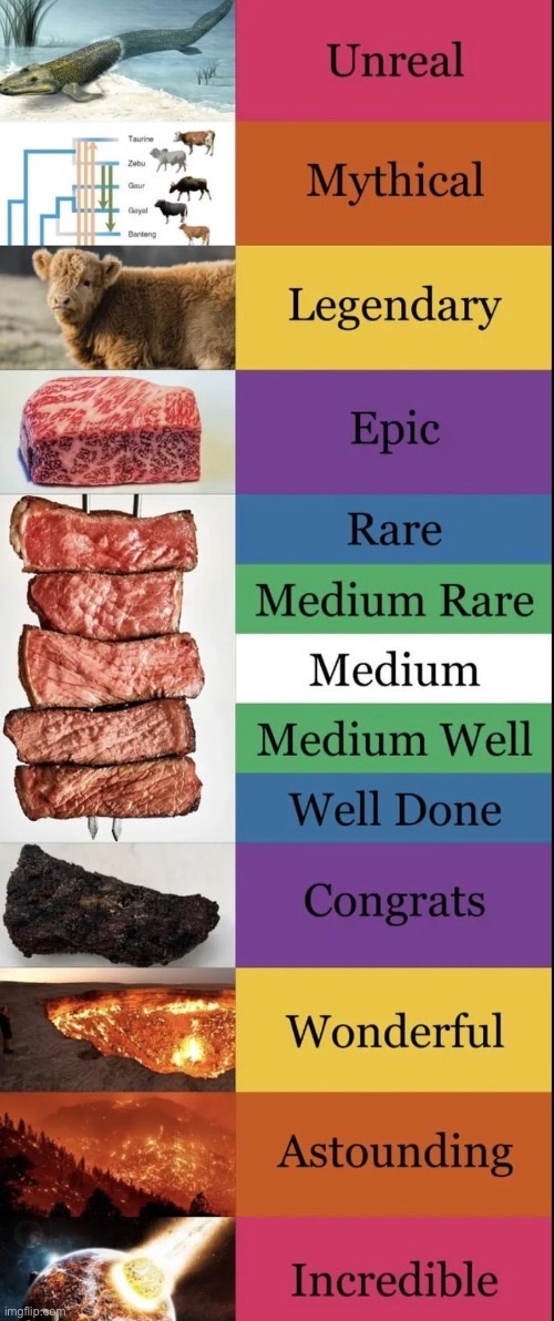 image tagged in msmg,beef,cooked,cooking,comparison | made w/ Imgflip meme maker