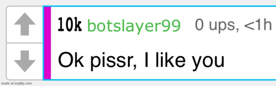 use this when botslayer is online | image tagged in use this when botslayer is online | made w/ Imgflip meme maker