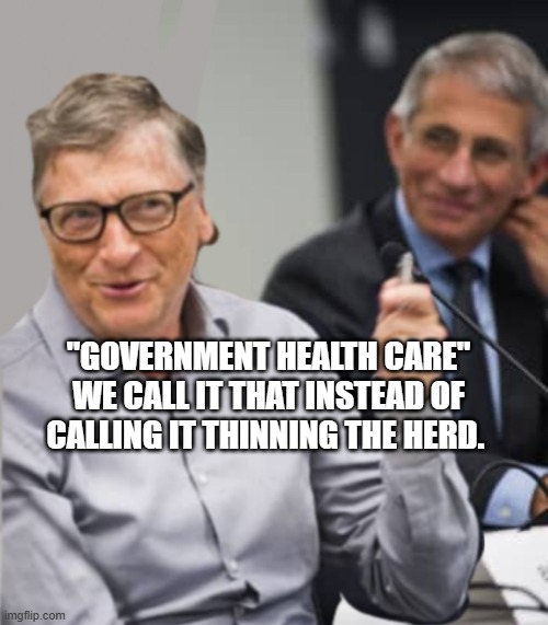 Bill Gates and Dr. Fauci | "Government health care" we call it that instead of Calling it thinning the herd. | image tagged in bill gates and dr fauci | made w/ Imgflip meme maker