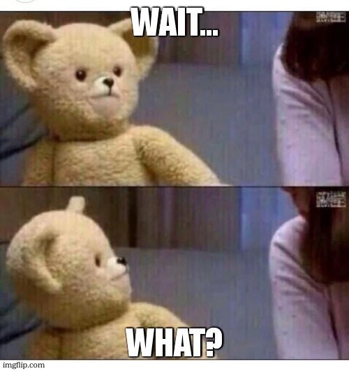 Wait what?? | wait... what? | image tagged in wait what | made w/ Imgflip meme maker