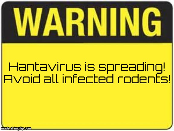 blank warning sign | Hantavirus is spreading!
Avoid all infected rodents! | image tagged in blank warning sign | made w/ Imgflip meme maker