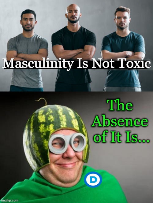 Without men and their brains & brawn, the world would be a very different place. | Masculinity Is Not Toxic; The 
Absence 
of It Is... | image tagged in liberals vs conservatives,liberal logic,triggered,toxic masculinity,she's right you know,political humor | made w/ Imgflip meme maker