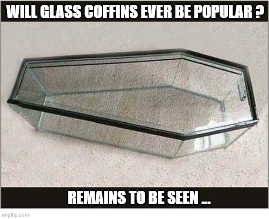 I Was Wondering ... | Will glass coffins ever be popular ? Remains to be seen ... | image tagged in wondering,glass,coffin,remains,play on words | made w/ Imgflip meme maker