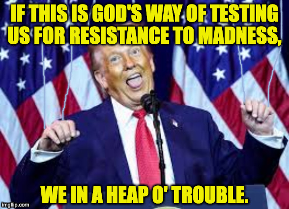 You're not entirely to blame. | if this is god's way of testing
us for resistance to madness, we in a heap o' trouble. | image tagged in memes,puppetry arts,trump | made w/ Imgflip meme maker