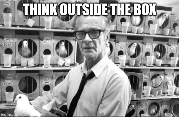 Bf skinner | Think outside the box | image tagged in bf skinner | made w/ Imgflip meme maker