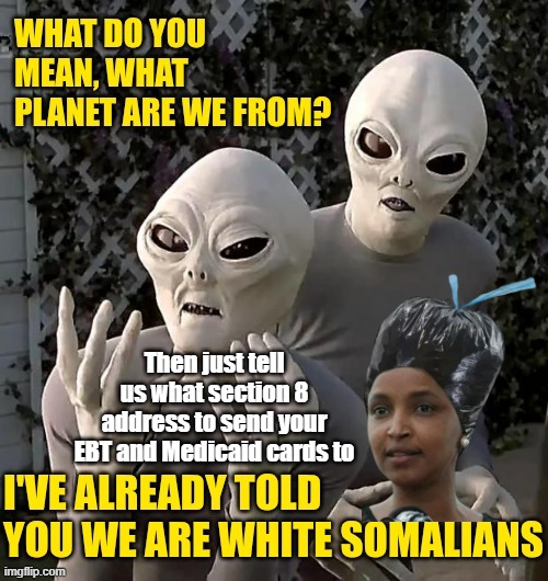Then just tell us what section 8 address to send your EBT and Medicaid cards to | made w/ Imgflip meme maker
