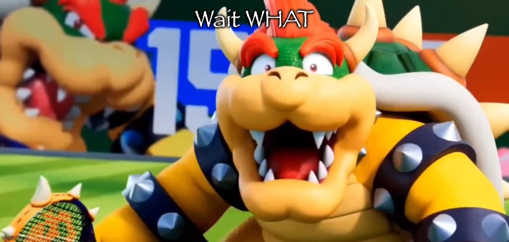Bowser Shocked | Wait WHAT | image tagged in bowser shocked | made w/ Imgflip meme maker