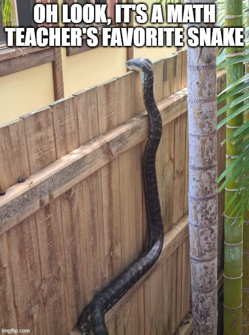 Pi-Thon | oh look, it's a math teacher's favorite snake | image tagged in python looking over fence | made w/ Imgflip meme maker