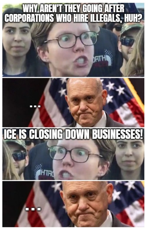 One paranoid protester said "Why don't they just pick them up in jail?". Oh sweetie, Dem cities only allowed for that this year | image tagged in illegal immigrants,triggered feminist,politics,deportation | made w/ Imgflip meme maker
