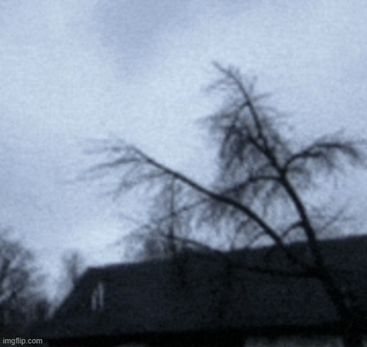 a tree | made w/ Imgflip meme maker