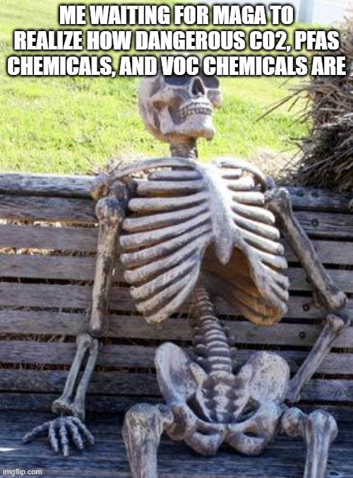 Waiting Skeleton Meme | Me waiting for Maga to realize how dangerous co2, pfas chemicals, and voc chemicals are | image tagged in memes,waiting skeleton | made w/ Imgflip meme maker