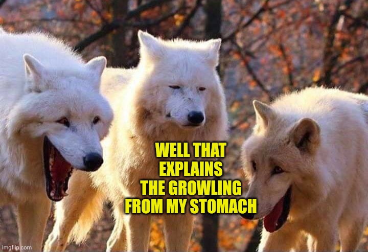 Laughing wolf | Well that explains the growling from my stomach | image tagged in laughing wolf | made w/ Imgflip meme maker