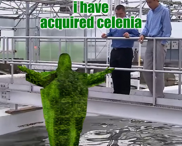 Aljaesus | i have acquired celenia | image tagged in aljaesus | made w/ Imgflip meme maker