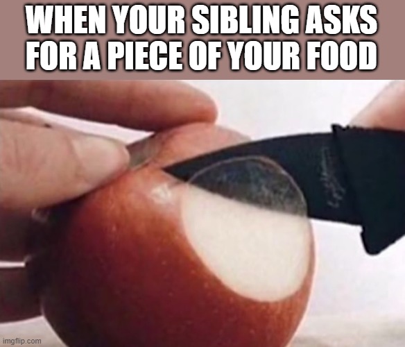 sibling | when your sibling asks for a piece of your food | image tagged in memes | made w/ Imgflip meme maker