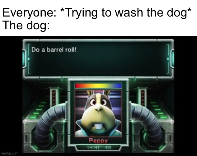 IMG_3878.webp | Everyone: *Trying to wash the dog*
The dog: | image tagged in img_3878 webp | made w/ Imgflip meme maker