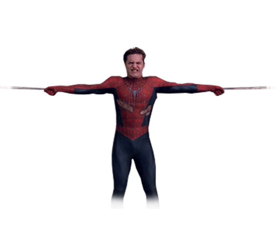 Spiderman hold Blank Meme Template