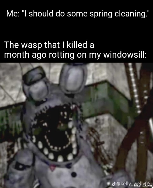 Me: "I should do some spring cleaning."; The wasp that I killed a month ago rotting on my windowsill: | made w/ Imgflip meme maker