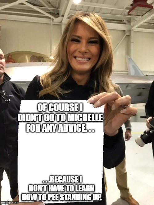 Melania Trump blank sheet | Of course I didn't go to Michelle for any advice. . . . . .because I don't have to learn how to pee standing up. | image tagged in melania trump blank sheet | made w/ Imgflip meme maker