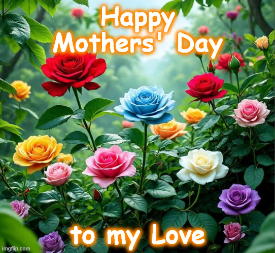 flowers | Happy
Mothers' Day; to my Love | image tagged in flowers | made w/ Imgflip meme maker