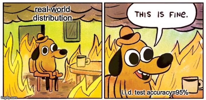 This Is Fine | real-world distribution; i.i.d. test accuracy=95% | image tagged in memes,this is fine | made w/ Imgflip meme maker