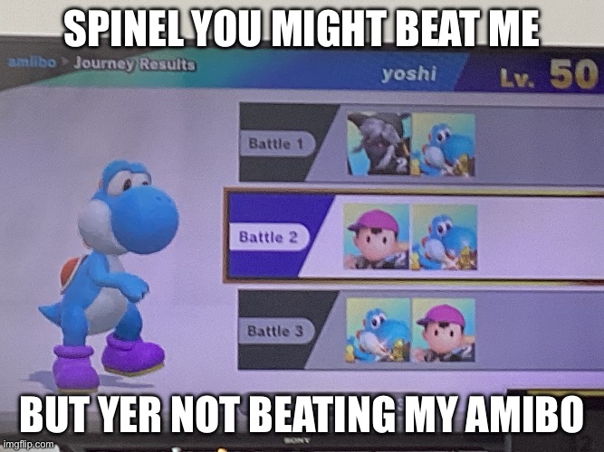 All of those guys were at level 50 | Spinel you might beat me; But yer not beating my amibo | made w/ Imgflip meme maker