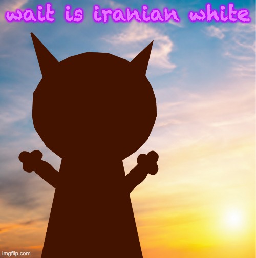 vroby 100 follower template | wait is iranian white | image tagged in vroby 100 follower template | made w/ Imgflip meme maker