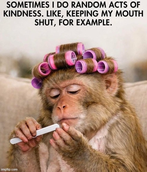 You can, too, but it is not easy.... | image tagged in kindness,stay positive,stay classy,be yourself,so youre telling me,the truth | made w/ Imgflip meme maker