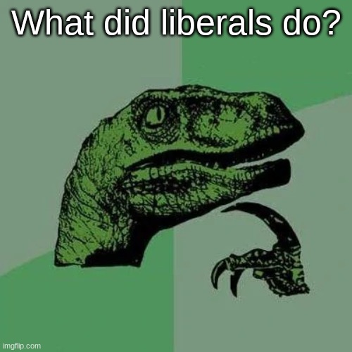 raptor asking questions | What did liberals do? | image tagged in raptor asking questions | made w/ Imgflip meme maker